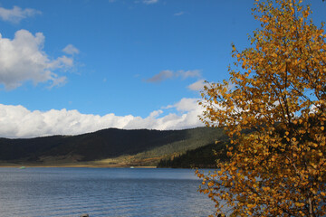 Golden forests surround serene alpine lakes, reflecting clouds Pudacuo National Park, Yunnan, China, Shangri-La, lake