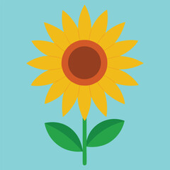 Sunflower Bloom Vector Illustration
