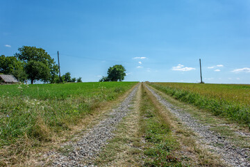 Straight unpaved farm road in open countryside