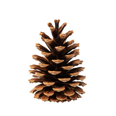 Detailed CloseUp of a Brown Pine Cone with Textured Scales and Natural Form, Isolated on Transparent Background