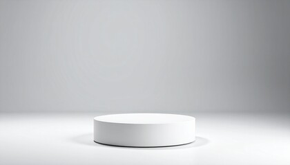 White cylindrical platform on light gray background.