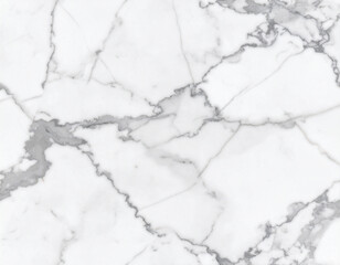 Obraz premium クラシック・ビアンコホワイト大理石（微細） / Bianco White Marble Fine Grain