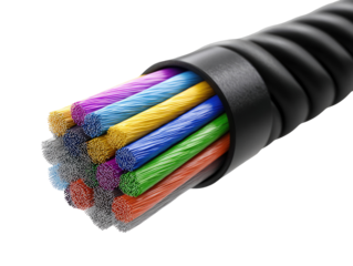 Close-up of a multi-colored cable (1)