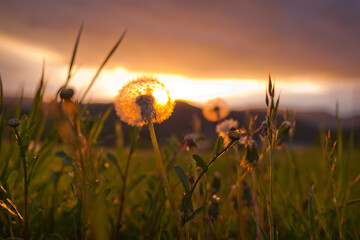 Zachód słońca pod Malnikiem w Muszynie. © rogozinski