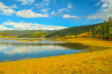 Golden forests surround serene alpine lakes, reflecting clouds Pudacuo National Park, Yunnan, China, Shangri-La, lake
