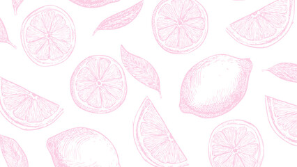 Style pink pattern on white background, food wallpaper. Vintage drawing cut lemon sketch pattern. 