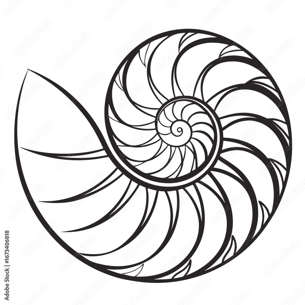 Poster illustration of a nautilus shell with a spiral pattern in black and white on a plain background desi