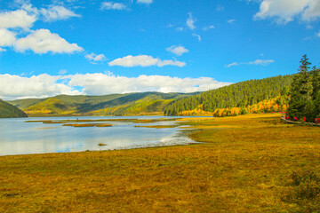 Obraz premium Golden forests surround serene alpine lakes, reflecting clouds Pudacuo National Park, Yunnan, China, Shangri-La, lake