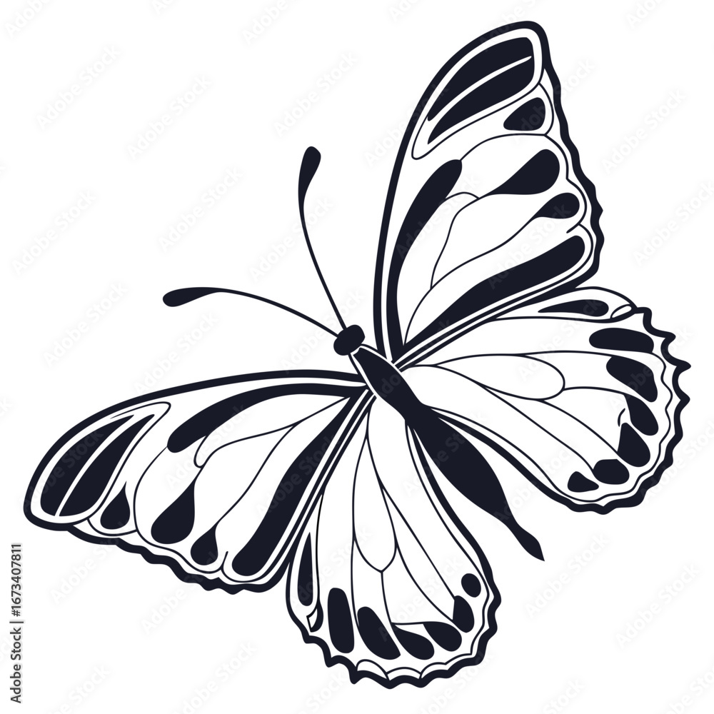 Poster illustration of a black and white butterfly with intricate wing patterns and delicate antennae desig