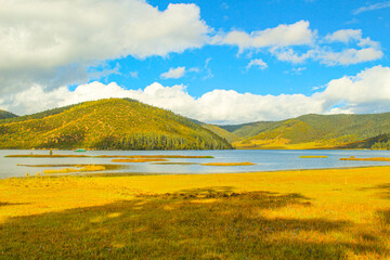 Golden forests surround serene alpine lakes, reflecting clouds Pudacuo National Park, Yunnan, China, Shangri-La, lake