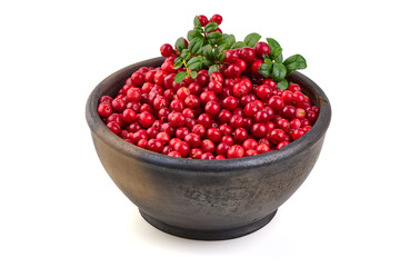 Lingonberries in Bowl, Vaccinium vitisidaea, isolated on white background