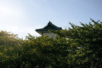 Kanazawa Castle Tower Behind Trees