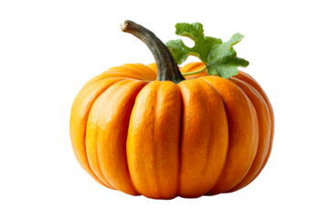Bright orange pumpkin with green stem and leaf