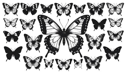 Black and white butterfly silhouettes