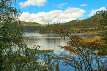 Fototapeta premium Golden forests surround serene alpine lakes, reflecting clouds Pudacuo National Park, Yunnan, China, Shangri-La, lake