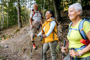 Seniors enjoying a lively hiking adventure through the tranquil woods on a sunny day