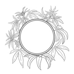Hemp Branch with Leaves Outline Round Frame. Vector isolated for design or decoration.