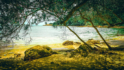 A vintage-style nature scene with soft tones, nostalgic atmosphere, and timeless beauty of the outdoors.