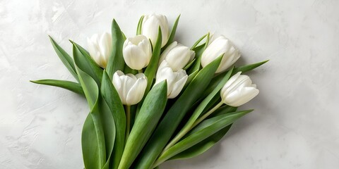 close up White tulip flower bouquet with green leaves on light textured background, fresh natural beauty and elegant floral arrangement