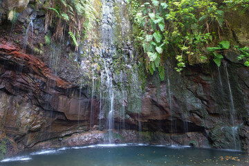Levada hiking in the tropical vegetation of Madeira, Portugal, Europe