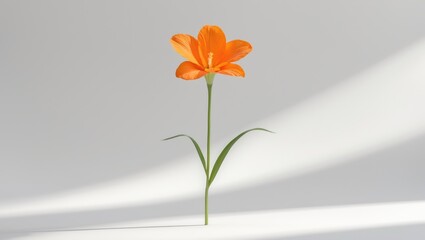 Naklejka premium A single orange flower with green leaves standing upright on a gray surface with shadow and light.