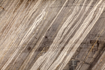 Background image - marble structure on a cut