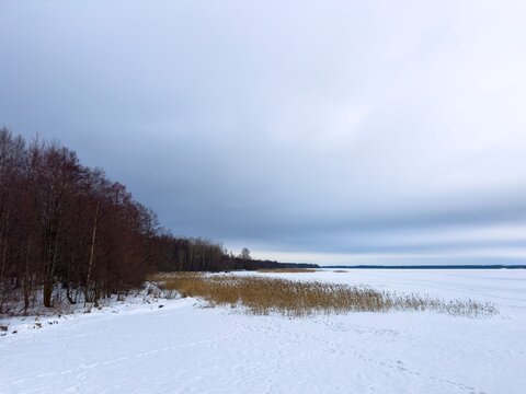 A wide-angle shot captures the serene, snow-covered shoreline of a frozen lake under a soft, overcast sky in winter. Bare trees with reddish-brown branches line the left, contrasting with the golden