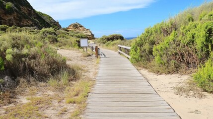 Obraz premium Wooden boardwalk encircled by coastal vegetation.