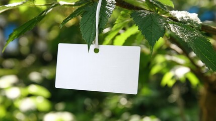 Blank white paper note hanging from a st on green leafy tree branch in outdoor natural setting