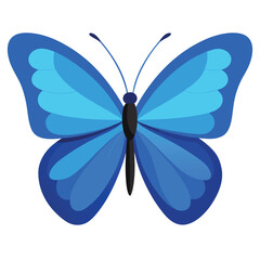 Blue butterfly vector illustration with colorful wings on a white background