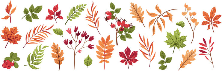 Naklejka premium Autumn Leaves and Twigs Flat Vector Set. Maple, Oak, Chestnut, Rowan Foliage. Botanical Illustration for Seasonal Stickers, Greeting Cards, Posters, Banners. Ideal for Fall Decor, Print Projects