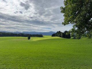 Fototapeta premium A beautiful and scenic green landscape featuring a cloudy sky with majestic mountains in view