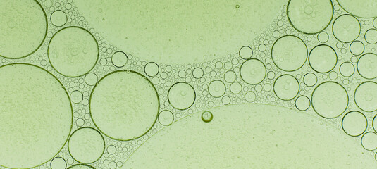 Macro microscope green bubble texture, Close-up Green bubbles and drops oil background . blue green...
