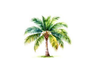 Beautiful tropical palm trees standing tall on a sandy beach on a white background