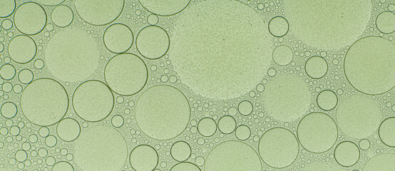 Macro microscope green bubble texture, Close-up Green bubbles and drops oil background . blue green water bubbles, close up golden oil drop for cosmetic