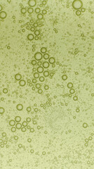 Macro microscope green bubble texture, Close-up Green bubbles and drops oil background . blue green water bubbles, close up golden oil drop for cosmetic