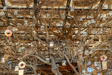 a rustic, ceiling installation featuring a large, leafless tree with intricate, twisting branches. Hanging from the branches are various lanterns and circular ornaments in pastel colors