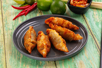 Asian fried stuffed dumplings gyoza
