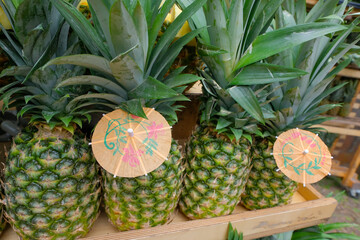 Tropical fresh Pineapples for Pinacolada Cocktail