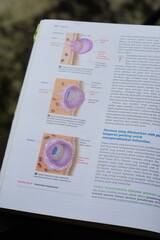 A close-up of an open medical textbook, showing detailed text and diagrams about human physiology and biology. This image represents study, education, research, and the journey of a medical student.
