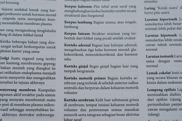 A close-up of an open medical textbook, showing detailed text and diagrams about human physiology and biology. This image represents study, education, research, and the journey of a medical student.