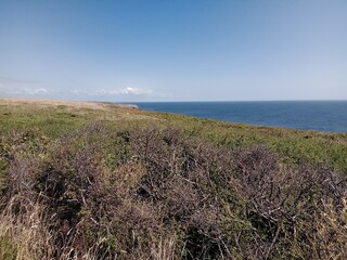 Pointe du Raz, Plogoff, Finistère, Bretagne, France, Grand Site de France
