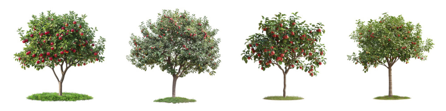Apple Trees Laden with Fruit on transparent background Generative AI