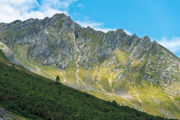 Rocky mountain peaks rise majestically above a verdant forest, under a bright blue sky with soft clouds on a clear day.