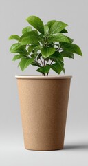 Fototapeta premium Small plant in a light brown paper cup