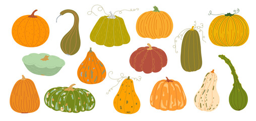 Pumpkins set hand drawn vector illustration in warm orange colors, vegetable for seasonal autumn, fall holidays celebration design, healthy vegetarian diet ingredient, Thanksgiving, Halloween clipart