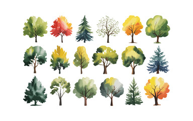 Various tree vectors. Forest and nature concept. Collection of different tree symbols. Education and training poster design. Vector drawn for plant and tree presentation.