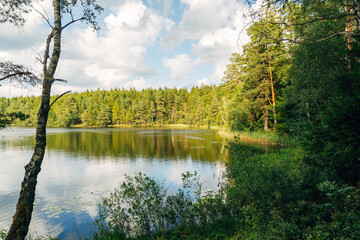 Tranquil Swedish Lake – Peaceful Nature Landscape