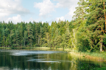 Obraz premium Tranquil Swedish Lake – Peaceful Nature Landscape