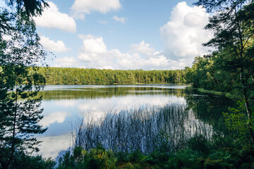 Tranquil Swedish Lake – Peaceful Nature Landscape